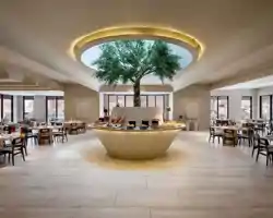 Shaden Resort thumbnail